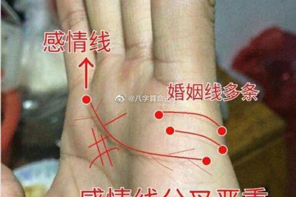 八字爱情配对分析:如何通过命理找出最合适的伴侣 八字爱情配对分析:如何通过命理找出最合适的伴侣