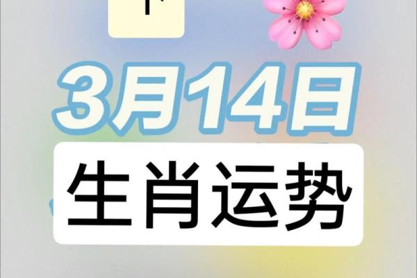 生肖羊的运势解读:财富、健康与感情运程 生肖羊的运势解读:财富、健康与感情运程