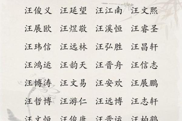 司姓男孩名字寓意深远的选择 司姓男孩名字寓意深远的选择