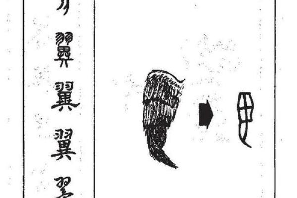 曦字在名字中的美好象征与文化内涵 曦字在名字中的美好象征与文化内涵