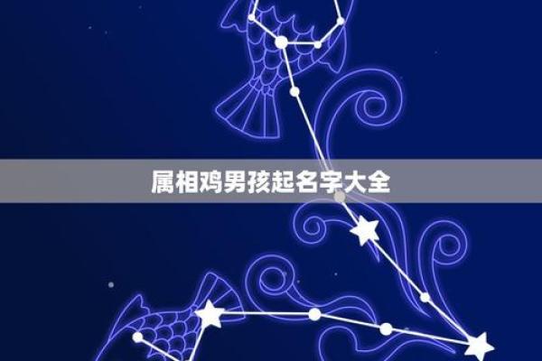 独特鸡宝宝名字大全 创意与传统完美结合 独特鸡宝宝名字大全 创意与传统完美结合