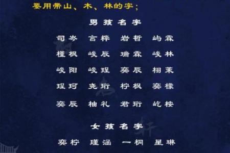 君字在男孩名字中的独特魅力与寓意解析