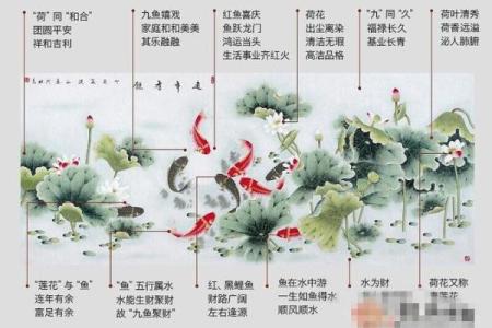 风水专家推荐的办公室鱼种选择与布局
