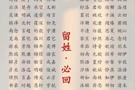 新生儿名字大全 宝宝起名必备指南