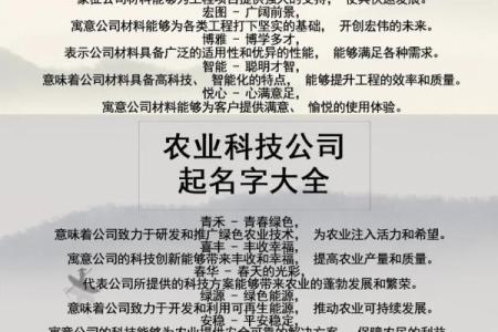 打造品牌形象的公司起名方法