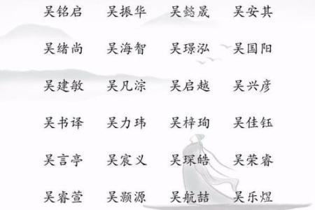 司姓男孩名字寓意深远的选择