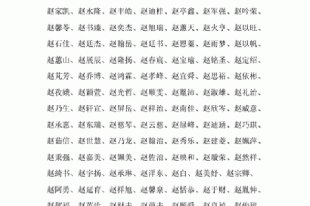 赵姓男宝宝起名禁忌与推荐字词解析