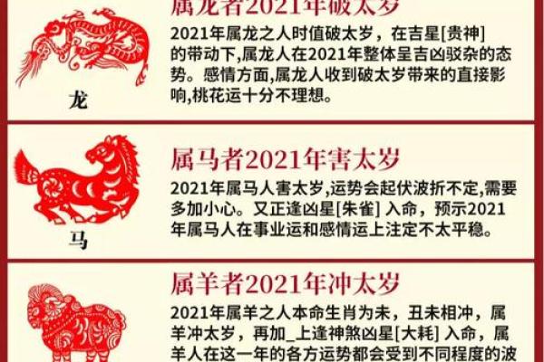 属虎的五行属性分析与解读 属虎的五行属性分析与解读
