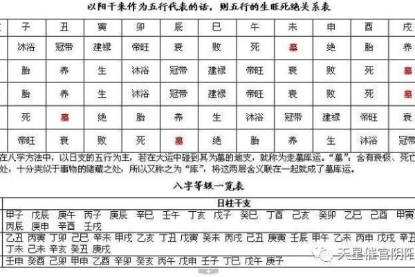 八字称重对照表解析与应用指南 八字称重对照表解析与应用指南