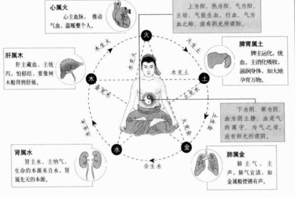 五行属糖如何与五脏相互关联 五行属糖如何与五脏相互关联