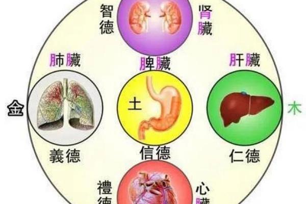 五行属糖如何与五脏相互关联 五行属糖如何与五脏相互关联