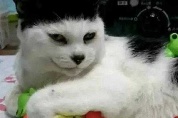 八字猥琐性格特点解析及应对方法 八字猥琐性格特点解析及应对方法