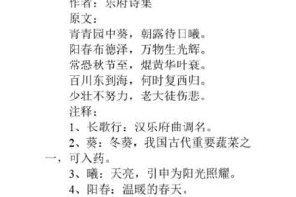 曦字的诗意含义及其在姓名中的象征意义 曦字的诗意含义及其在姓名中的象征意义