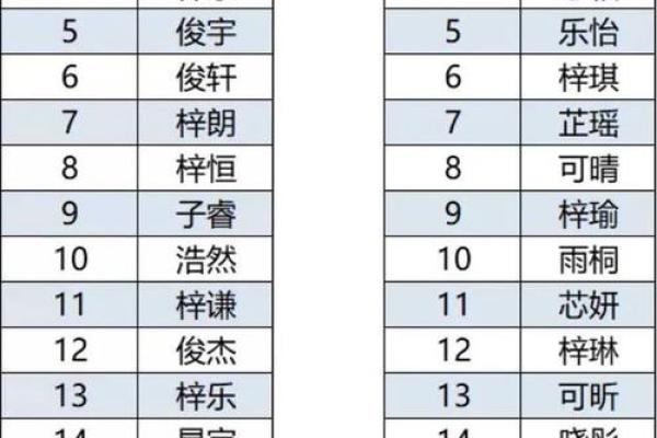轻松打造独特名字:名字自动生成器的应用与优势 轻松打造独特名字:名字自动生成器的应用与优势