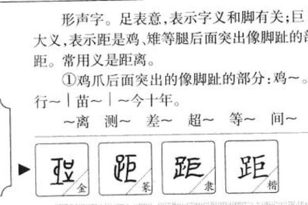 炯字的五行属性解析与命理影响 炯字的五行属性解析与命理影响
