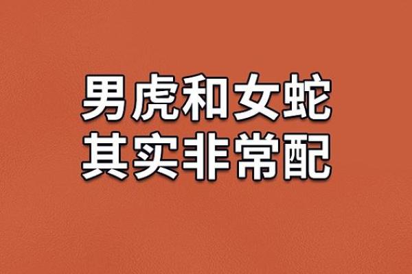 虎年出生的人适合与哪些属相结缘 虎年出生的人适合与哪些属相结缘