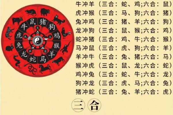 从鼠到猪:肖顺序中的五行与性格特征 从鼠到猪:肖顺序中的五行与性格特征