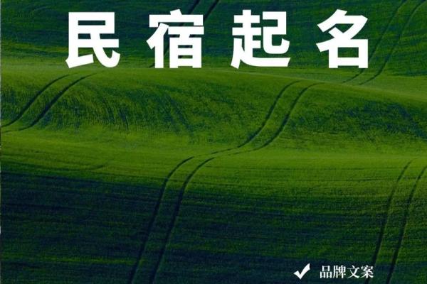 科技公司起名趋势与灵感大全 科技公司起名趋势与灵感大全