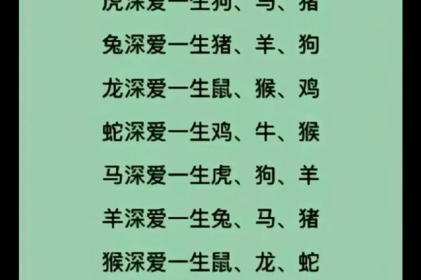 从属相看缘分 这些生肖最适合终成眷属 从属相看缘分 这些生肖最适合终成眷属