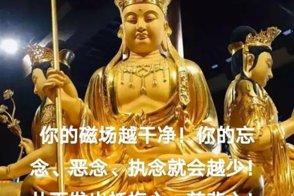 如何修得慈悲富贵之命,改变人生轨迹 如何修得慈悲富贵之命,改变人生轨迹