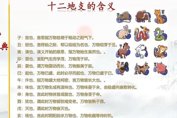 八字地支在命理中的深层含义解析 八字地支在命理中的深层含义解析