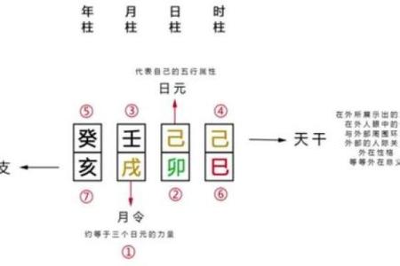 强弱八字对职业发展的潜在影响