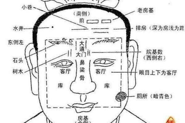 面相风水与个人运势的深度关系解析 面相风水与个人运势的深度关系解析