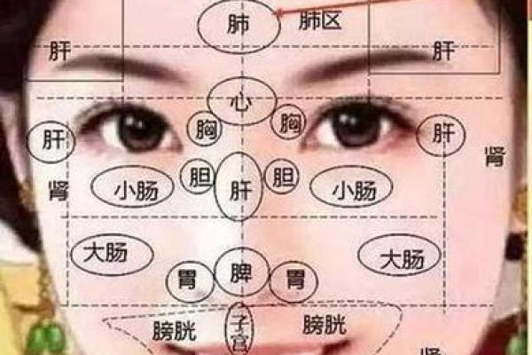 面相风水与个人运势的深度关系解析 面相风水与个人运势的深度关系解析