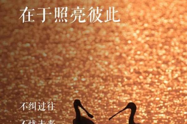 缘分难寻,人生无缘难相配的深层含义 缘分难寻,人生无缘难相配的深层含义