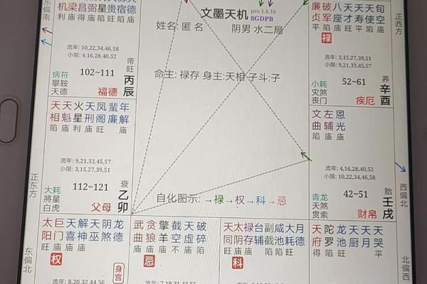 紫微运势解析:掌握命运的关键时刻 紫微运势解析:掌握命运的关键时刻
