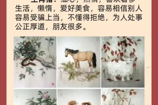 虎与什么生肖最为相配 虎与什么生肖最为相配