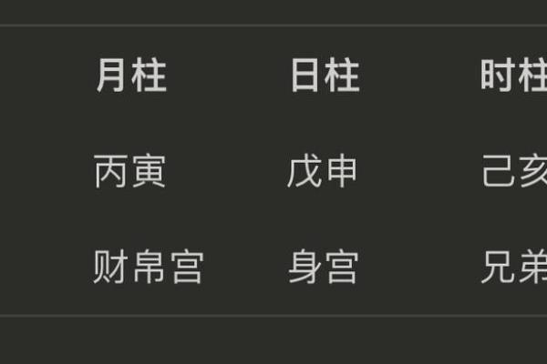 属什么命?揭开这一年的命理秘密 属什么命?揭开这一年的命理秘密