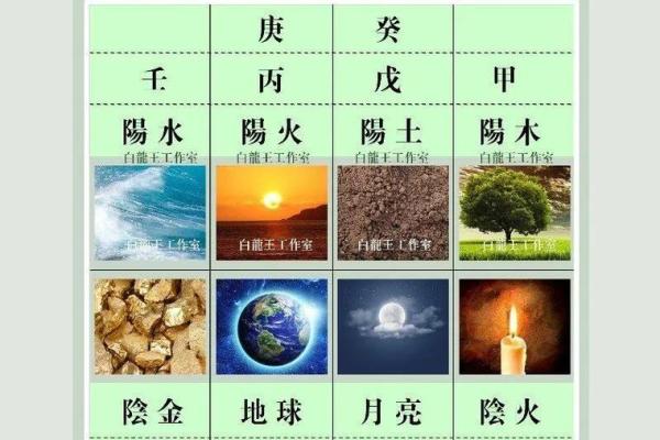 属什么命?揭开这一年的命理秘密 属什么命?揭开这一年的命理秘密