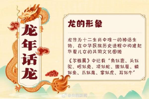 是什么生肖?你要知道的全部信息 是什么生肖?你要知道的全部信息