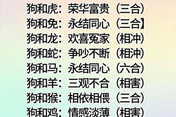 揭开属相相配的秘密 哪些生肖最适合做伴侣 揭开属相相配的秘密 哪些生肖最适合做伴侣