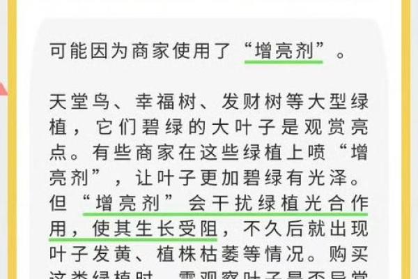 如何为花卉公司选择一个富有创意的名字 如何为花卉公司选择一个富有创意的名字