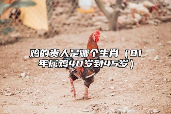 了解属什么生肖 这将影响你的人生走向 了解属什么生肖 这将影响你的人生走向