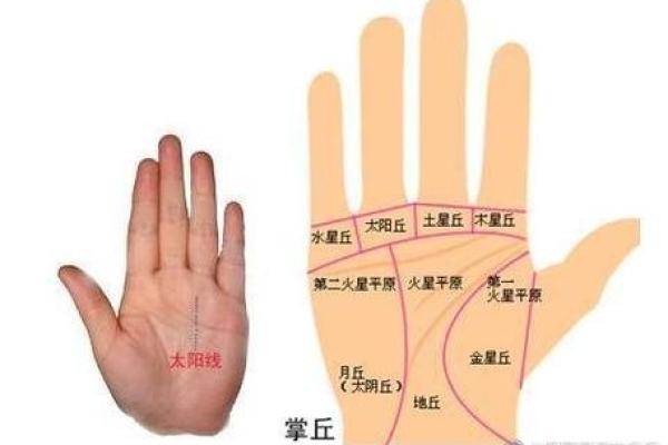 解密食指断对个人运势的深远影响 解密食指断对个人运势的深远影响