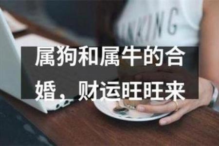 属狗人与属狗人的婚姻生活会如何