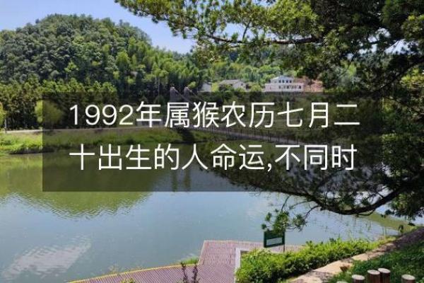 出生的人命运解析与运势走向 出生的人命运解析与运势走向