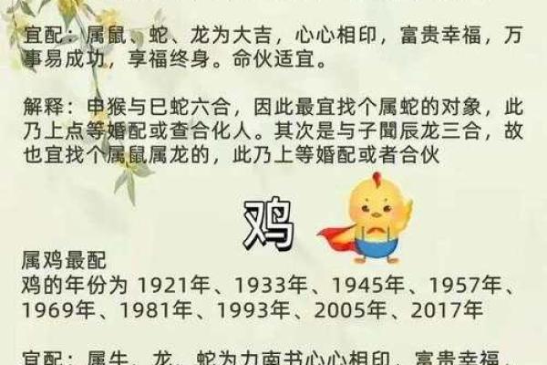 属相配对与婚姻运势解析 属相配对与婚姻运势解析