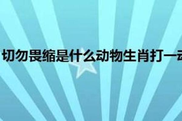 属什么生肖 详细解答你的疑问 属什么生肖 详细解答你的疑问