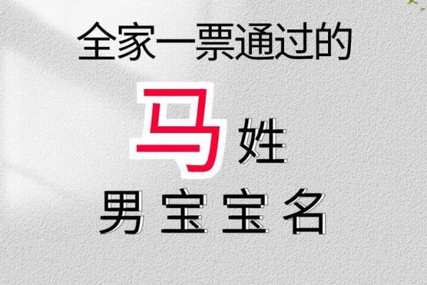 给马宝宝起名字的五个技巧