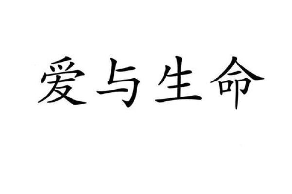爱字在名字中的深意与象征 爱字在名字中的深意与象征
