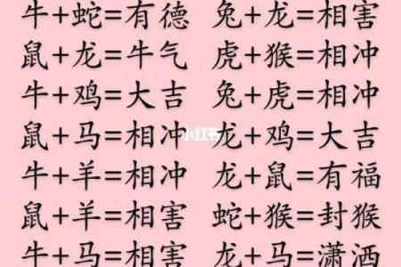 属相配对与婚姻运势解析