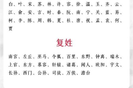为司姓男孩起个有内涵的名字