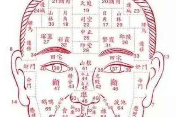 面部岁运势解析:如何通过面相提升运气 面部岁运势解析:如何通过面相提升运气