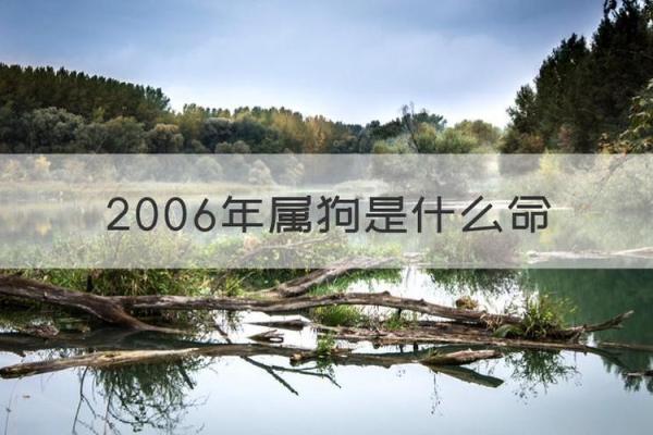 属狗人的命运如何影响他们的生活 属狗人的命运如何影响他们的生活
