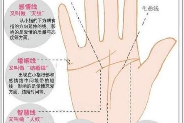 富贵之手:识别手纹中的富贵命图 富贵之手:识别手纹中的富贵命图