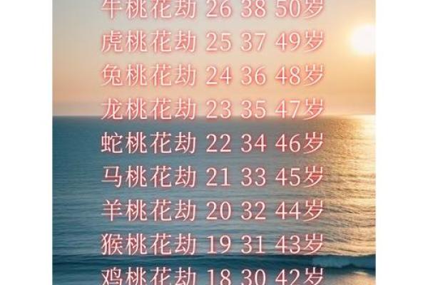 日柱甲子桃花运的五大命理要素 日柱甲子桃花运的五大命理要素